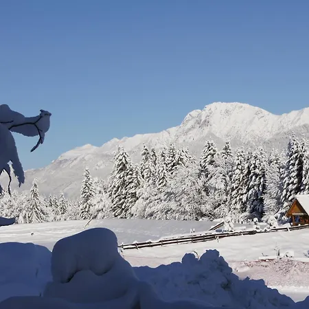 Ederhof Aparthotel 4*