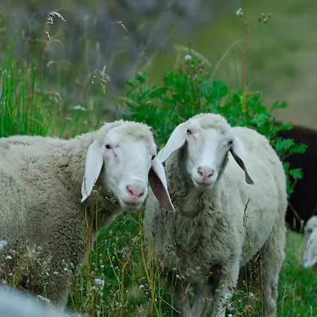 Ederhof Aparthotel Schlanitzen