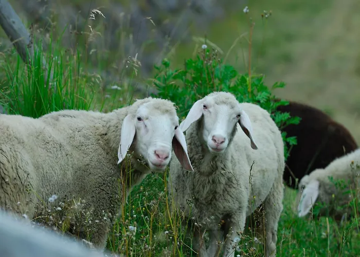 Ederhof Aparthotel Schlanitzen