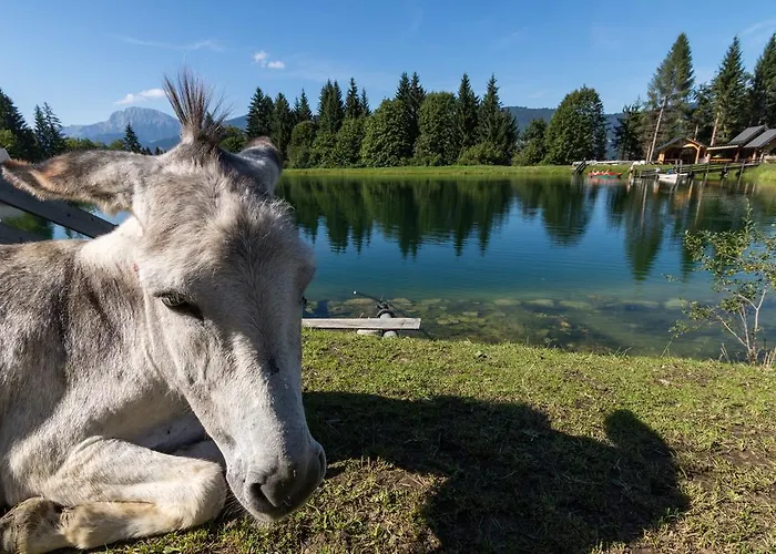 Ederhof Aparthotel Schlanitzen